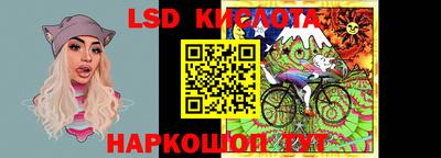 шишки Ставрополь